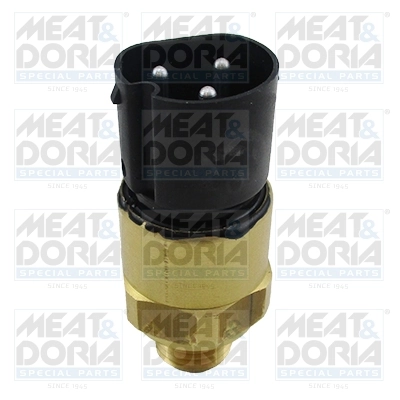 Temperature Switch, radiator fan